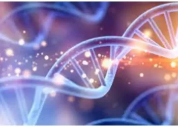 Jin Gates: Unveiling The Astounding Net Worth Of The Financial Guru