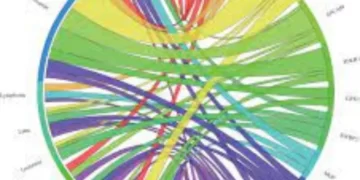 First Extended Service Corporation