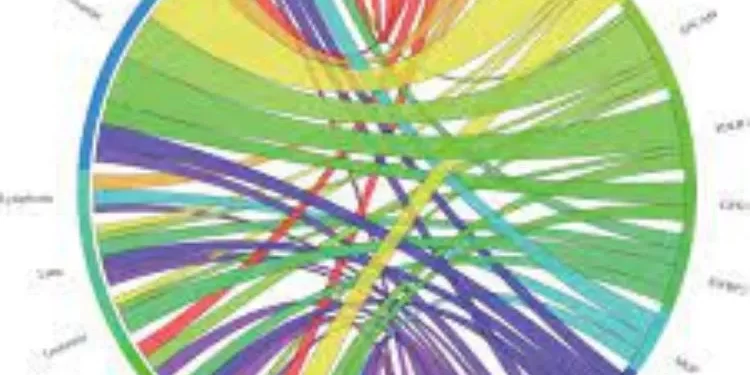 First Extended Service Corporation