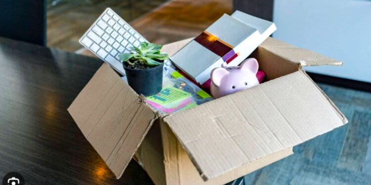 Microloan Money Multiplier: Empowering Your Deposits