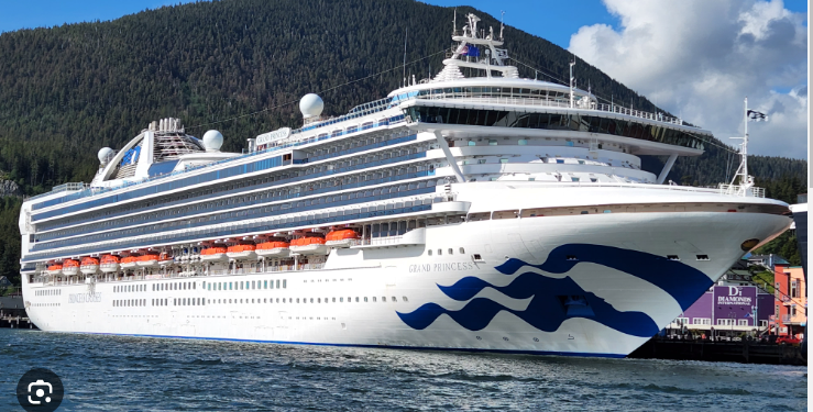 Navigating The Waves Of Carnival Cruise Stock: A Journey Of Ups And Downs