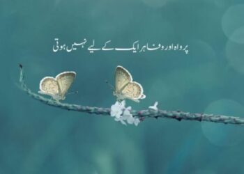 Urdhu Captions For Instagram