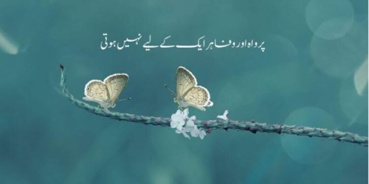 Urdhu Captions For Instagram