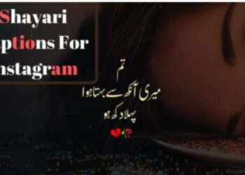 Telenor WhatsApp Packages