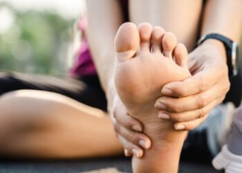 The Role of Veterinary Cardiology in Managing Animal Heart Diseases