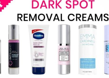 Free Tube Spot Review