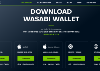 Tips For Choosing The Right Wasabi Wallet