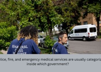 the police, fire, and emergency medical services are usually categorized inside which government?