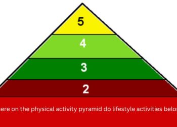 where on the physical activity pyramid do lifestyle activities belong