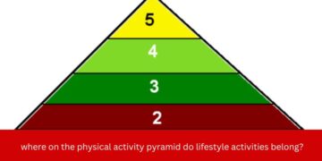 where on the physical activity pyramid do lifestyle activities belong