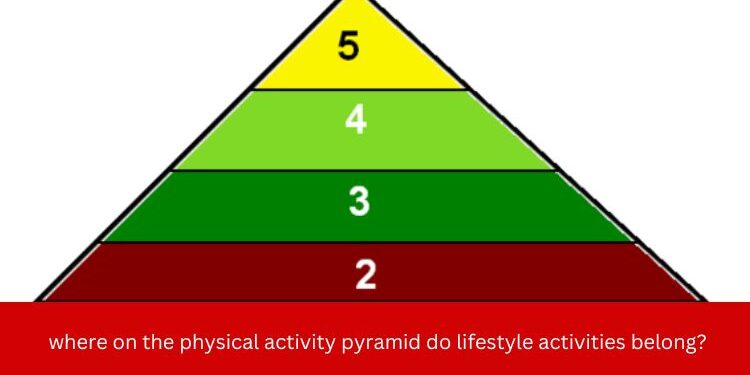where on the physical activity pyramid do lifestyle activities belong