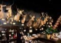 The Intriguing World Of Taxidermy For Sale: Exploring Art