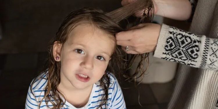 Effective Lice Removal Services In Brooklyn For A Hassle-Free Solution